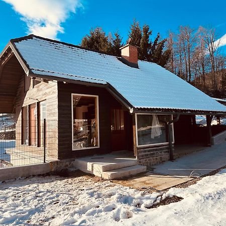 Chalet Pjagodic Cerklje na Gorenjskem Buitenkant foto