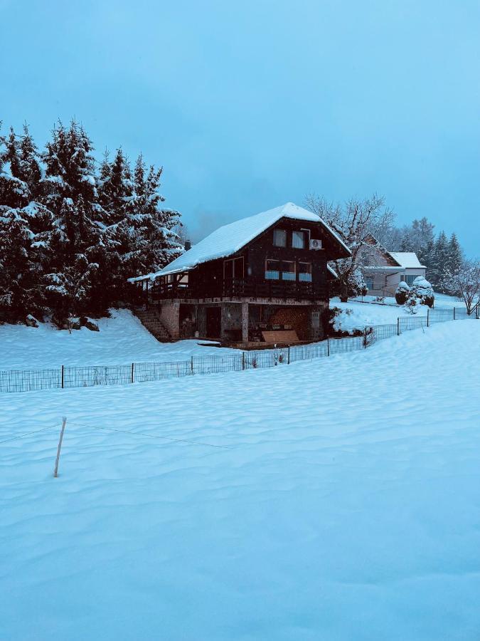 Chalet Pjagodic Cerklje na Gorenjskem Buitenkant foto