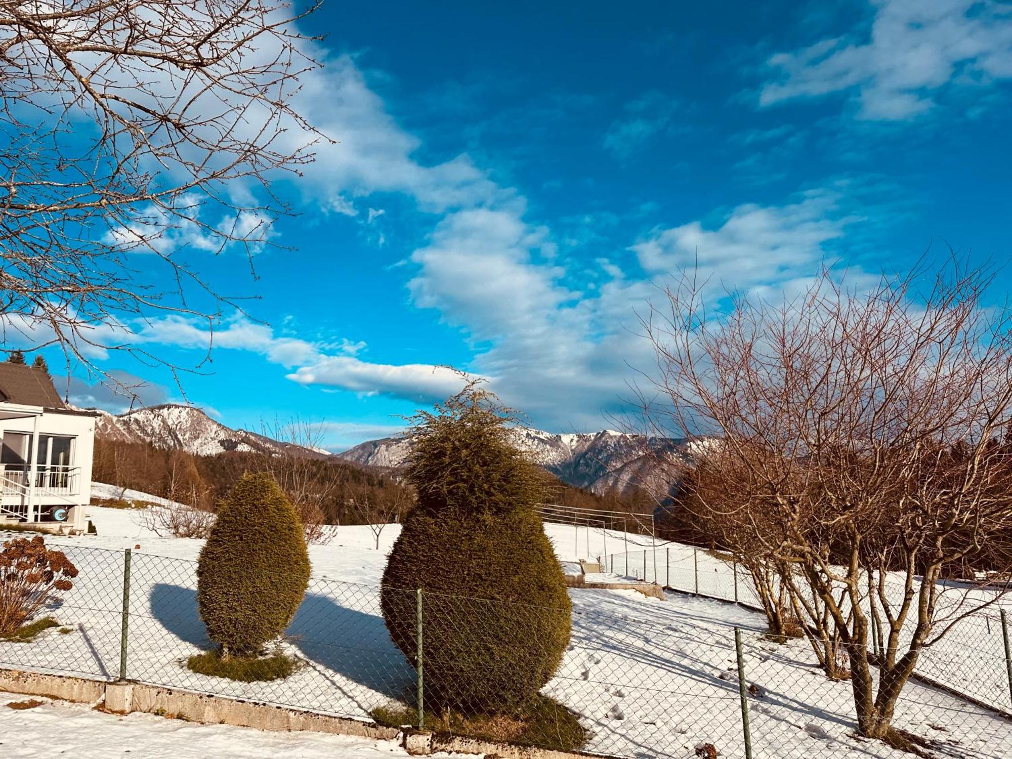 Chalet Pjagodic Cerklje na Gorenjskem Buitenkant foto